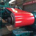 G90/Z180/Z275 DX51D SGCC/PPGI/PPGL Rolled SGCC/PPGL